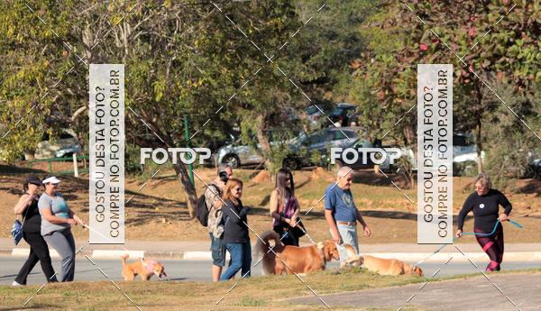 Buy your photos of the event1� ArraiAU Pet Guia 4Patas Online on Fotop