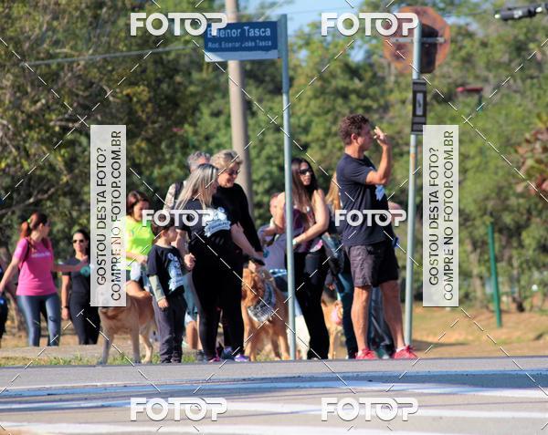 Buy your photos of the event1� ArraiAU Pet Guia 4Patas Online on Fotop