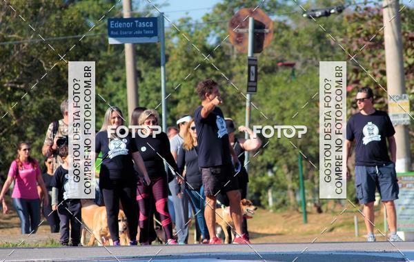 Buy your photos of the event1� ArraiAU Pet Guia 4Patas Online on Fotop