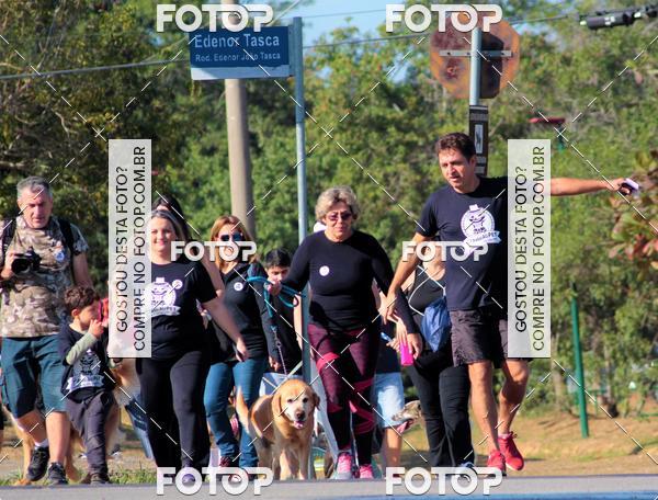 Buy your photos of the event1� ArraiAU Pet Guia 4Patas Online on Fotop