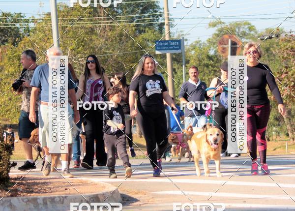 Buy your photos of the event1� ArraiAU Pet Guia 4Patas Online on Fotop