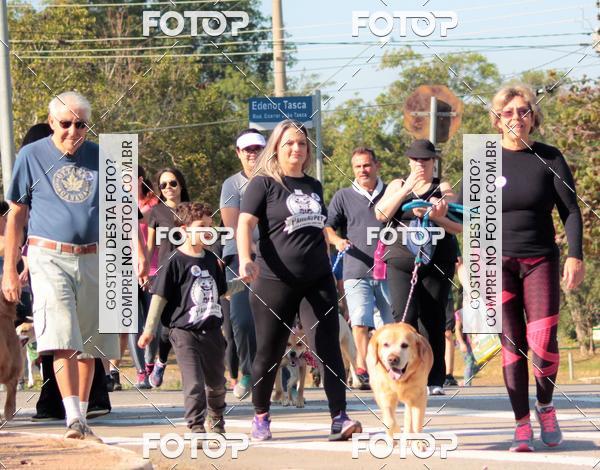 Buy your photos of the event1� ArraiAU Pet Guia 4Patas Online on Fotop