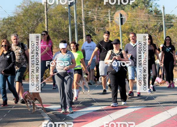 Buy your photos of the event1� ArraiAU Pet Guia 4Patas Online on Fotop