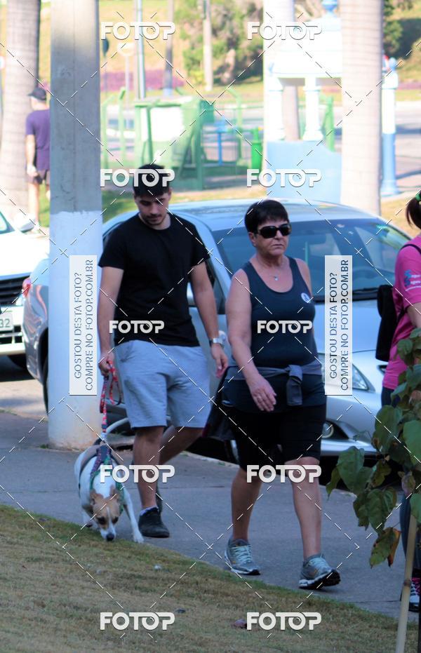 Buy your photos of the event1� ArraiAU Pet Guia 4Patas Online on Fotop