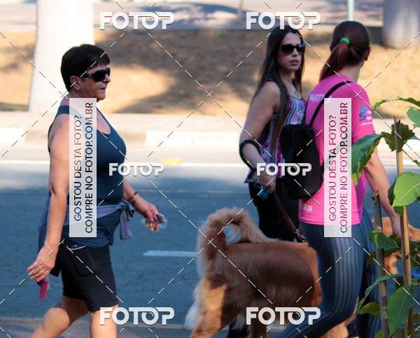Buy your photos of the event1� ArraiAU Pet Guia 4Patas Online on Fotop