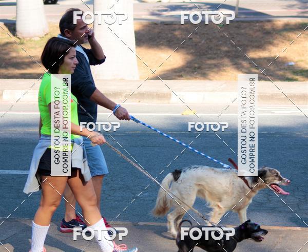 Buy your photos of the event1� ArraiAU Pet Guia 4Patas Online on Fotop