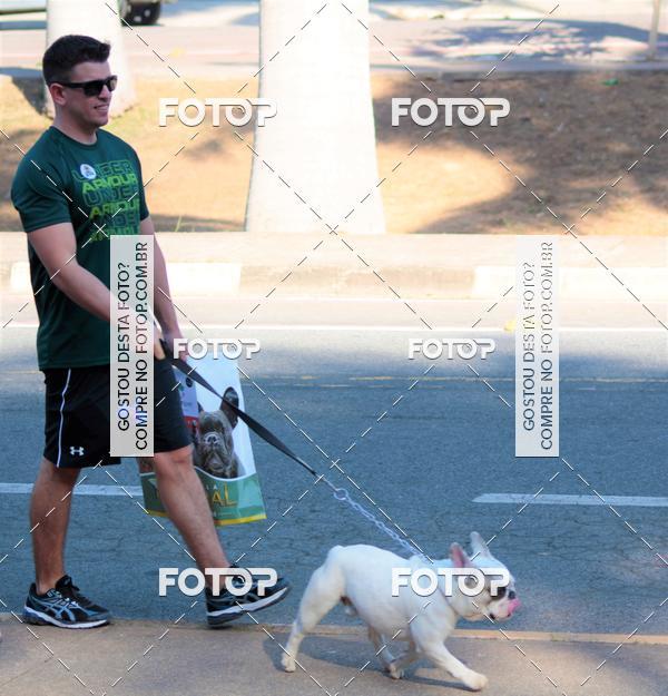 Buy your photos of the event1� ArraiAU Pet Guia 4Patas Online on Fotop