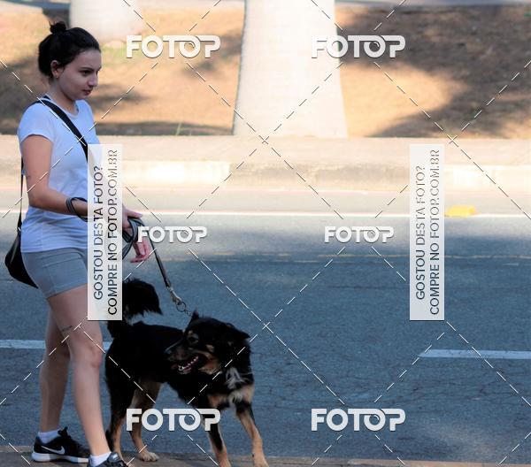 Buy your photos of the event1� ArraiAU Pet Guia 4Patas Online on Fotop