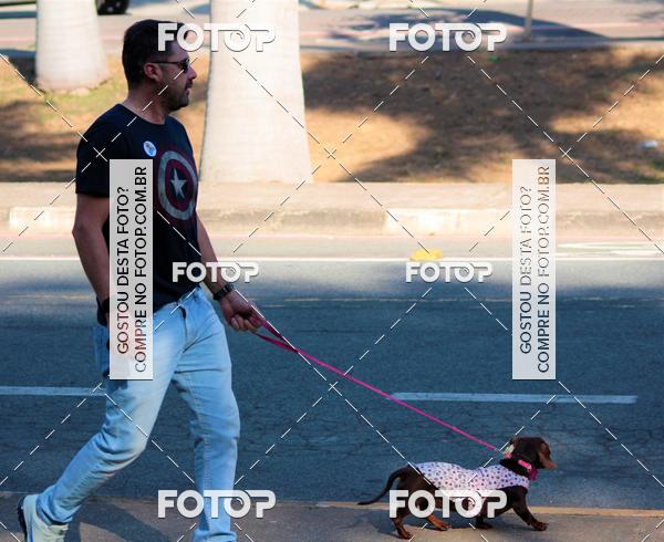 Buy your photos of the event1� ArraiAU Pet Guia 4Patas Online on Fotop