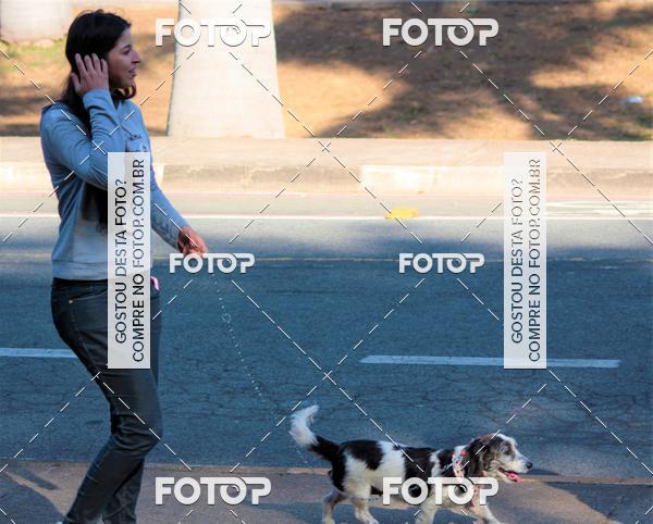 Buy your photos of the event1� ArraiAU Pet Guia 4Patas Online on Fotop