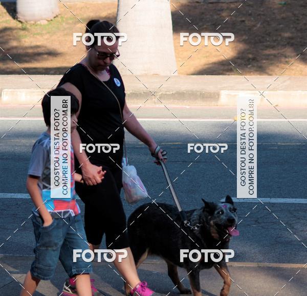 Buy your photos of the event1� ArraiAU Pet Guia 4Patas Online on Fotop