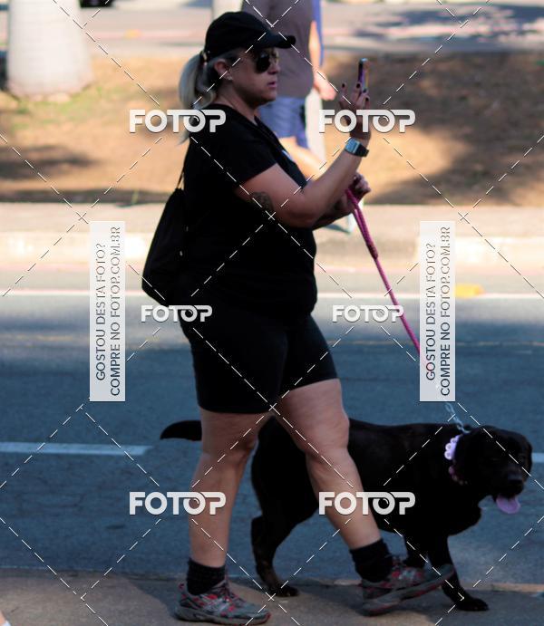 Buy your photos of the event1� ArraiAU Pet Guia 4Patas Online on Fotop