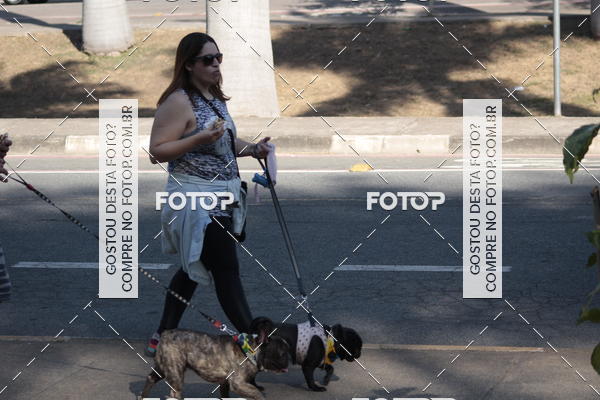 Buy your photos of the event1� ArraiAU Pet Guia 4Patas Online on Fotop