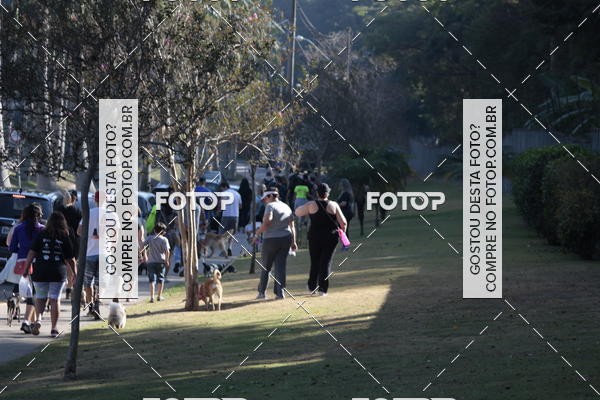 Buy your photos of the event1� ArraiAU Pet Guia 4Patas Online on Fotop