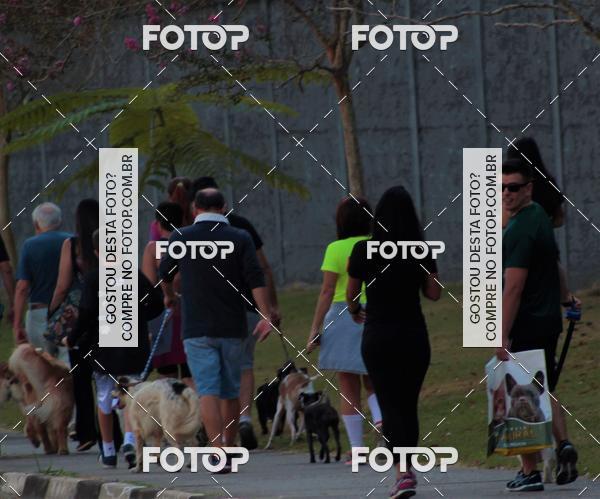 Buy your photos of the event1� ArraiAU Pet Guia 4Patas Online on Fotop