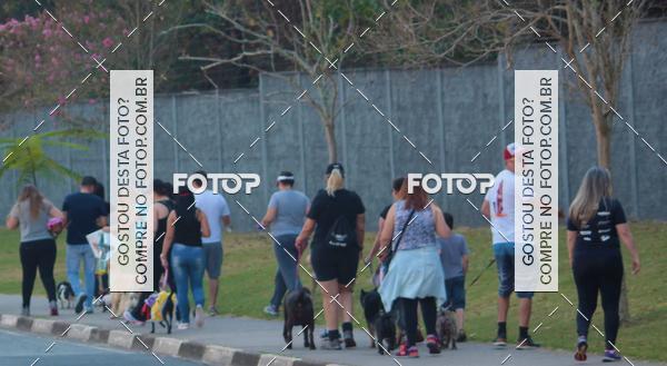 Buy your photos of the event1� ArraiAU Pet Guia 4Patas Online on Fotop