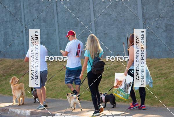Buy your photos of the event1� ArraiAU Pet Guia 4Patas Online on Fotop