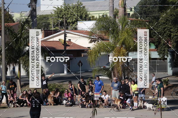 Buy your photos of the event1� ArraiAU Pet Guia 4Patas Online on Fotop