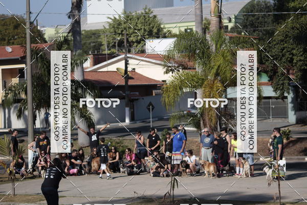 Buy your photos of the event1� ArraiAU Pet Guia 4Patas Online on Fotop