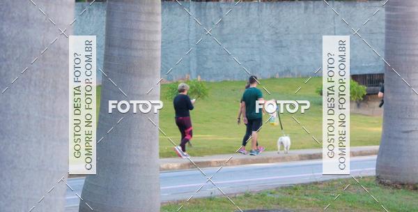 Buy your photos of the event1� ArraiAU Pet Guia 4Patas Online on Fotop