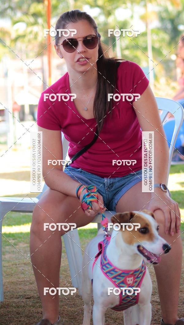 Buy your photos of the event1� ArraiAU Pet Guia 4Patas Online on Fotop