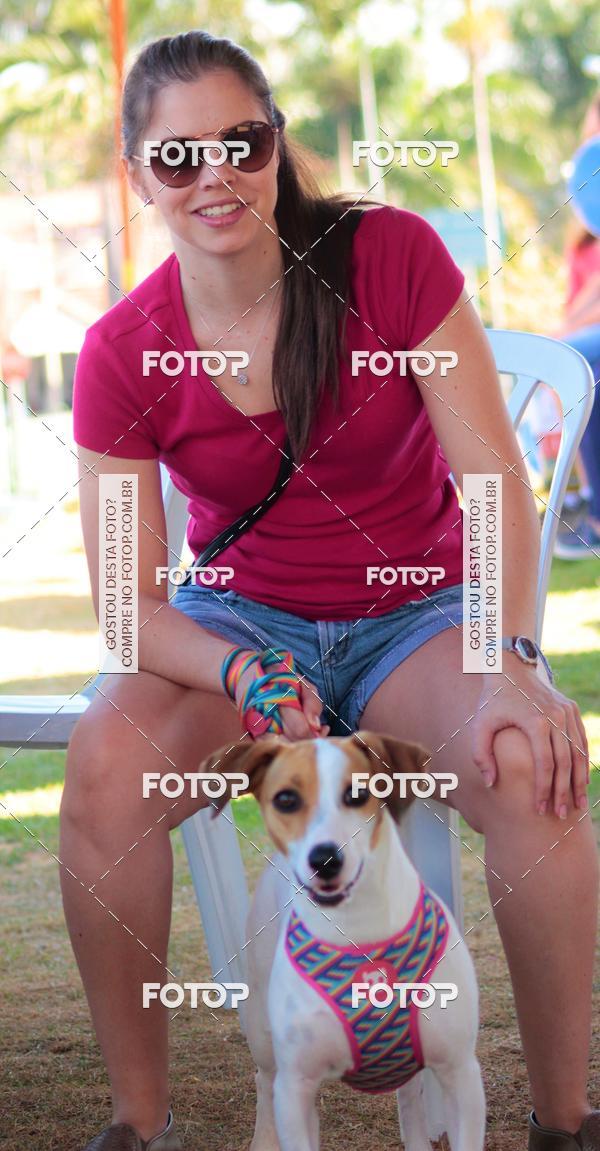 Buy your photos of the event1� ArraiAU Pet Guia 4Patas Online on Fotop