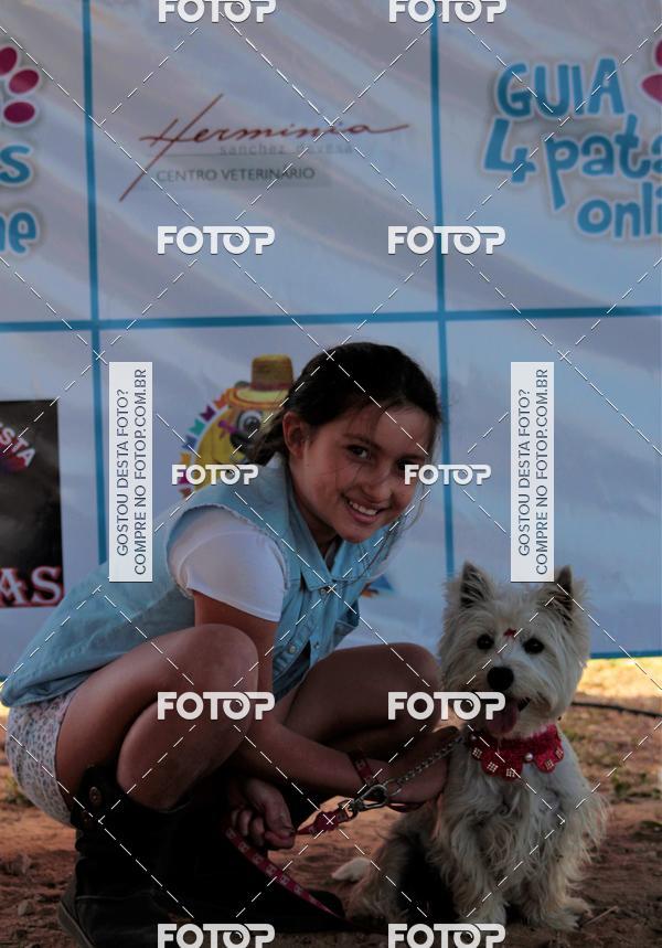 Buy your photos of the event1� ArraiAU Pet Guia 4Patas Online on Fotop