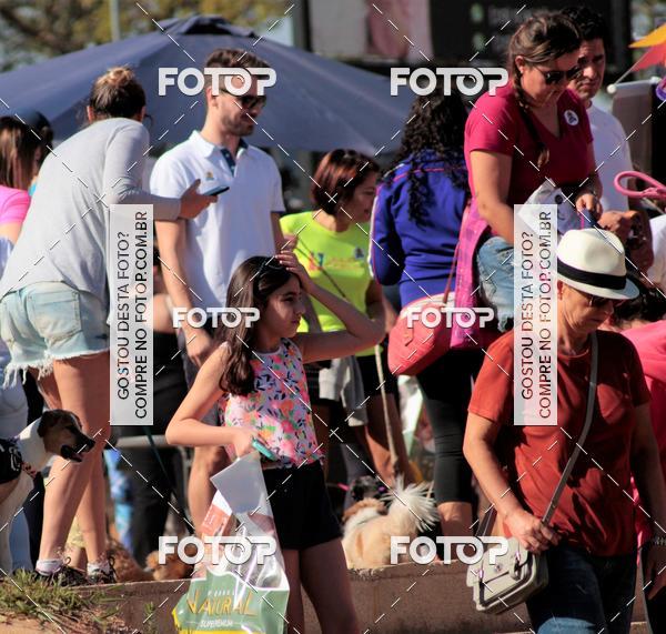 Buy your photos of the event1� ArraiAU Pet Guia 4Patas Online on Fotop