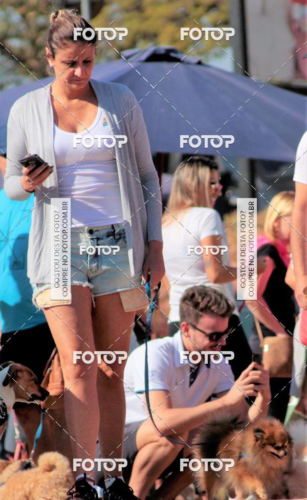 Buy your photos of the event1� ArraiAU Pet Guia 4Patas Online on Fotop