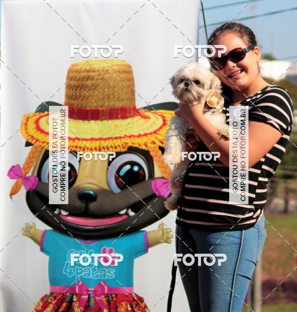 Buy your photos of the event1� ArraiAU Pet Guia 4Patas Online on Fotop
