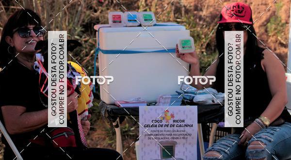 Buy your photos of the event1� ArraiAU Pet Guia 4Patas Online on Fotop