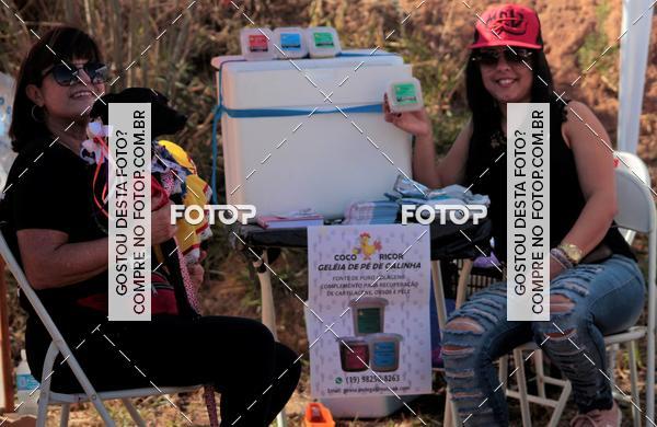 Buy your photos of the event1� ArraiAU Pet Guia 4Patas Online on Fotop