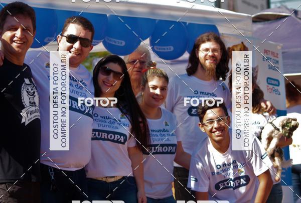 Buy your photos of the event1� ArraiAU Pet Guia 4Patas Online on Fotop