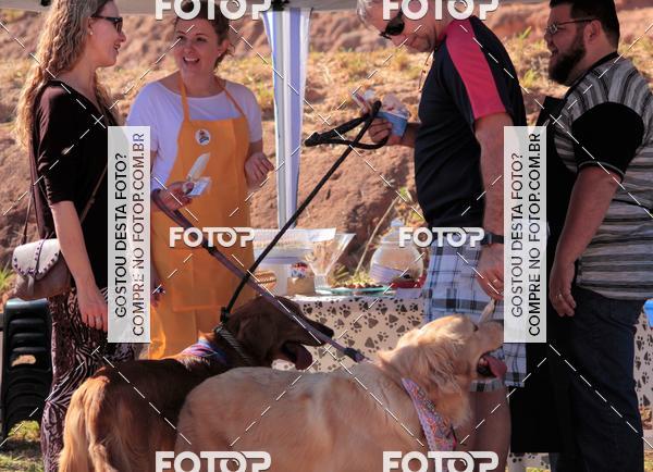 Buy your photos of the event1� ArraiAU Pet Guia 4Patas Online on Fotop