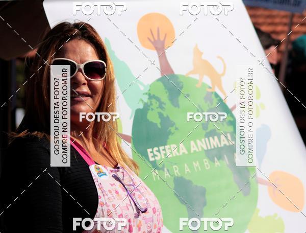 Buy your photos of the event1� ArraiAU Pet Guia 4Patas Online on Fotop