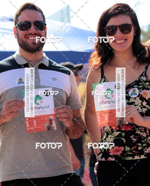 Buy your photos of the event1� ArraiAU Pet Guia 4Patas Online on Fotop