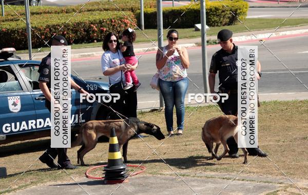 Compra tus fotos del evento1� ArraiAU Pet Guia 4Patas Online En Fotop