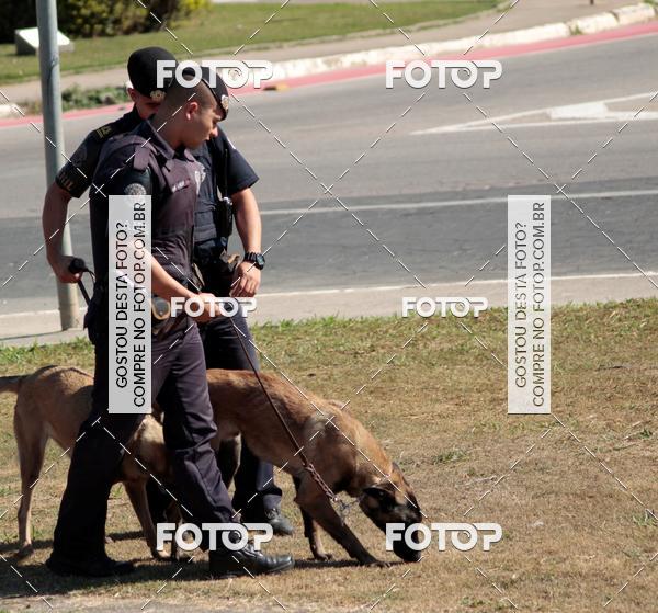 Compra tus fotos del evento1� ArraiAU Pet Guia 4Patas Online En Fotop