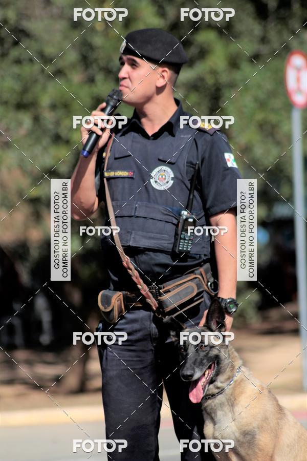 Compra tus fotos del evento1� ArraiAU Pet Guia 4Patas Online En Fotop