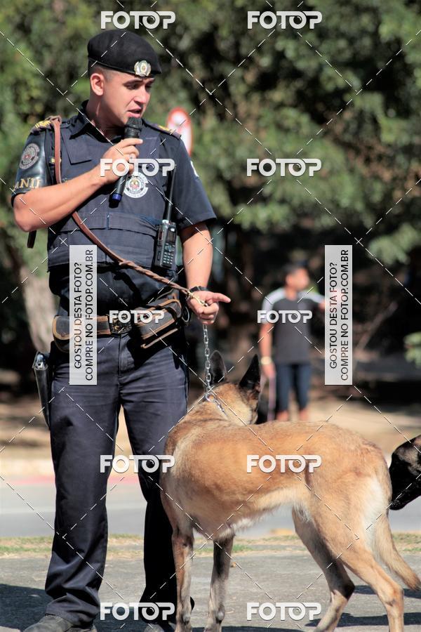 Compra tus fotos del evento1� ArraiAU Pet Guia 4Patas Online En Fotop