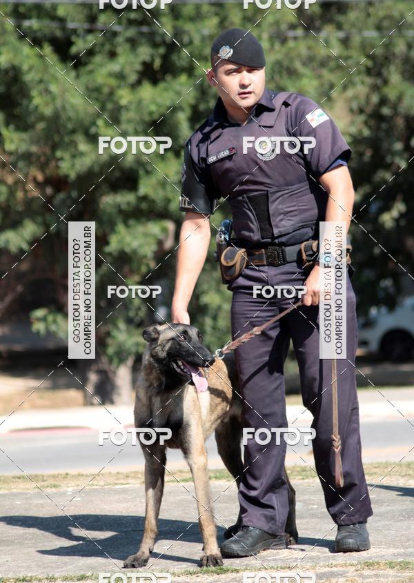 Compra tus fotos del evento1� ArraiAU Pet Guia 4Patas Online En Fotop