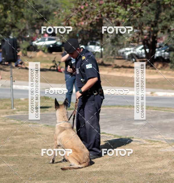 Compra tus fotos del evento1� ArraiAU Pet Guia 4Patas Online En Fotop