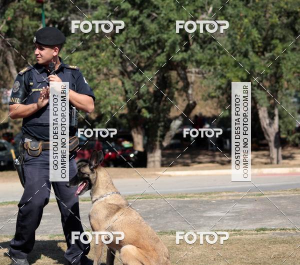 Compra tus fotos del evento1� ArraiAU Pet Guia 4Patas Online En Fotop