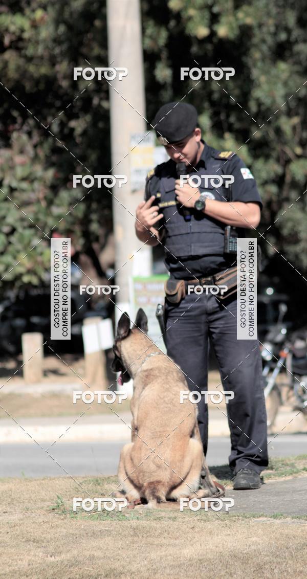 Compra tus fotos del evento1� ArraiAU Pet Guia 4Patas Online En Fotop