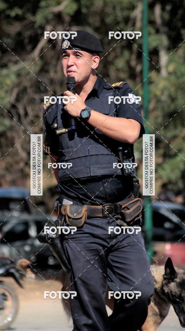 Compra tus fotos del evento1� ArraiAU Pet Guia 4Patas Online En Fotop