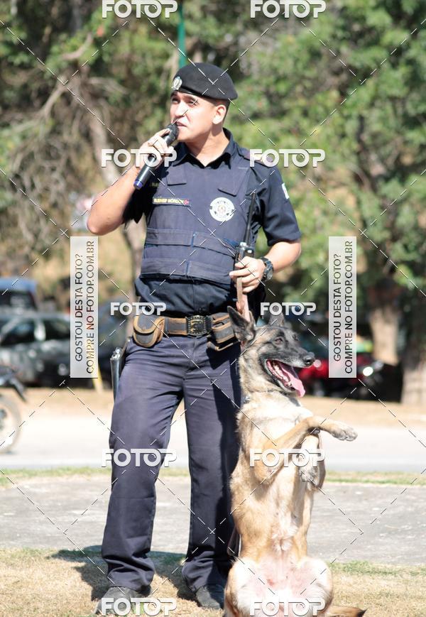 Compra tus fotos del evento1� ArraiAU Pet Guia 4Patas Online En Fotop