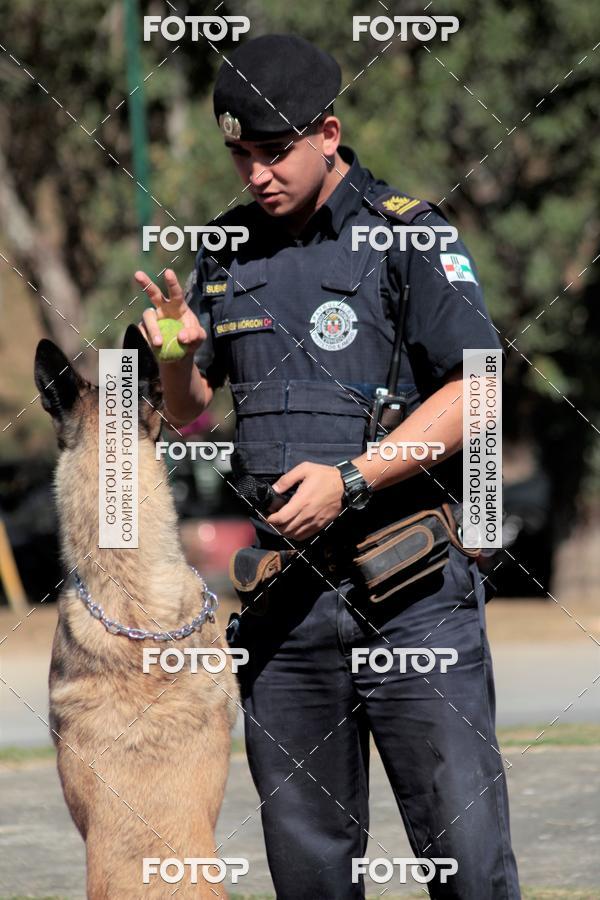 Compra tus fotos del evento1� ArraiAU Pet Guia 4Patas Online En Fotop