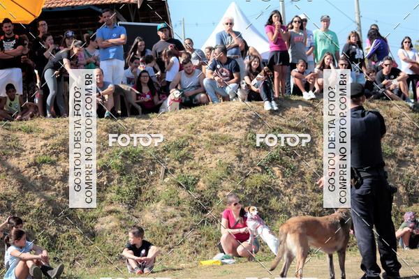 Compra tus fotos del evento1� ArraiAU Pet Guia 4Patas Online En Fotop