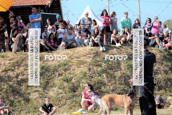 Compra tus fotos del evento1� ArraiAU Pet Guia 4Patas Online En Fotop