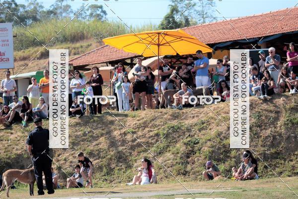 Compra tus fotos del evento1� ArraiAU Pet Guia 4Patas Online En Fotop